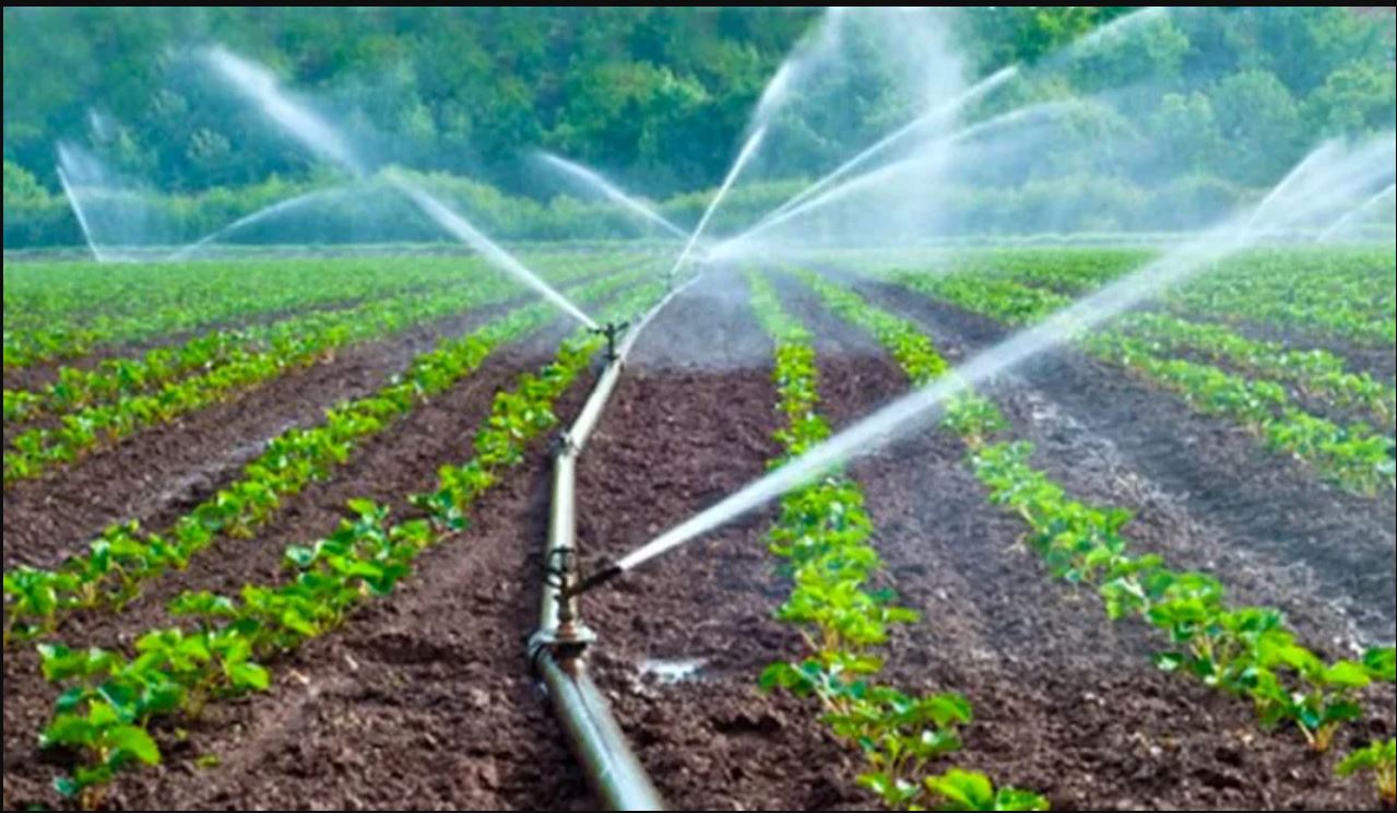 Automated farm irrigation system watering crops efficiently using ZTN Technology IoT sensors.